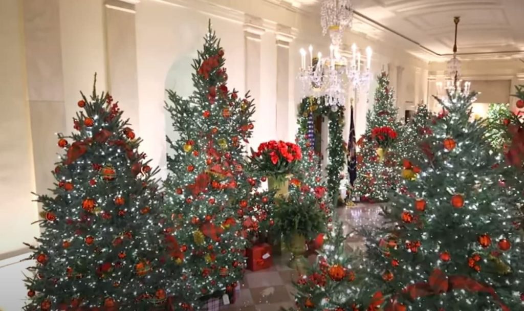 Green Christmas Trees Whitehouse Melania Trump